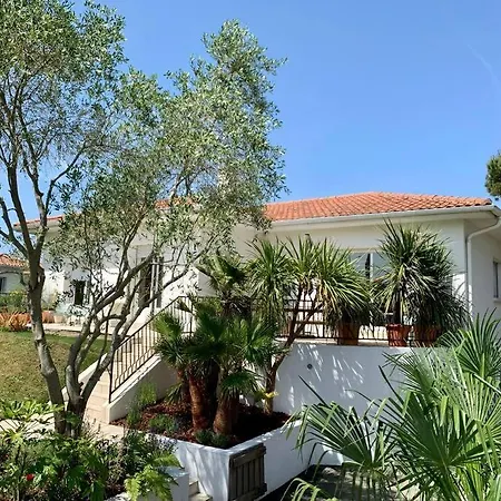 Belle Maison Grand Jardin Proche Cote Des Basques Biarritz Exterior photo