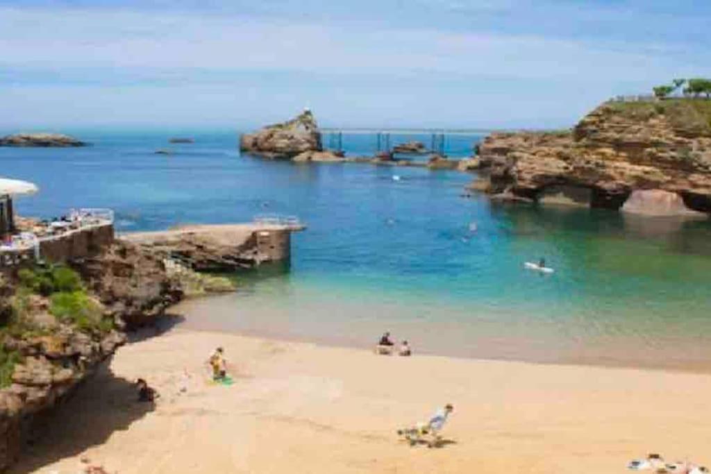 Villa Belle Maison Grand Jardin Proche Cote Des Basques Biarritz