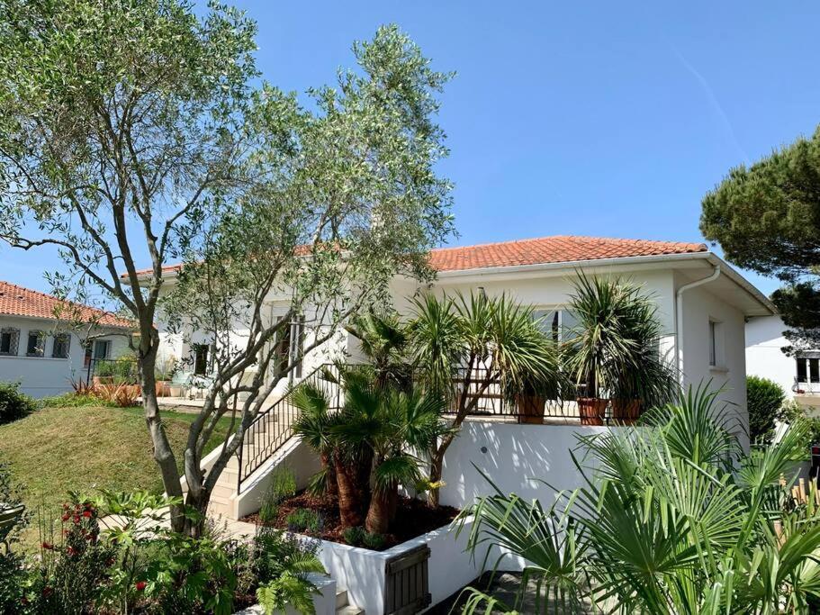 Belle Maison Grand Jardin Proche Cote Des Basques *